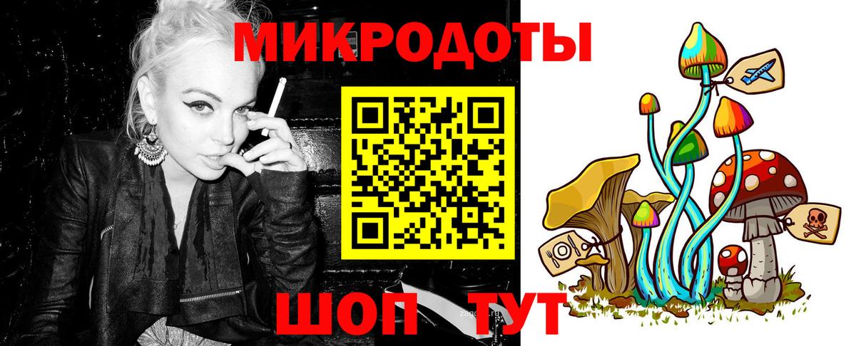 Псилоцибиновые грибы Psilocybine cubensis Жигулёвск